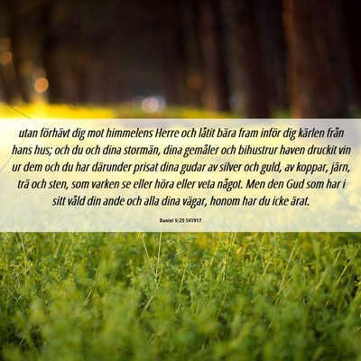 Picture 06 - Daniel 5:23 SV1917 - utan förhävt dig mot himmelens Herre och låtit - Bible Verse Picture