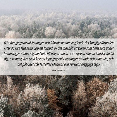 Picture 06 - Daniel 6:12 SV1917 - Därefter gingo de till konungen och frågade - Bible Verse Picture