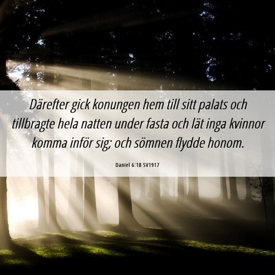 Picture 06 - Daniel 6:18 SV1917 - Därefter gick konungen hem till sitt palats och - Bible Verse Picture