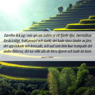 Picture 06 - Daniel 7:7 SV1917 - Därefter fick jag i min syn om natten se ett - Bible Verse Picture