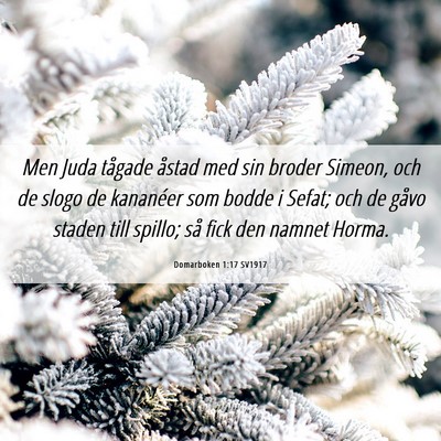 Picture 06 - Domarboken 1:17 SV1917 - Men Juda tågade åstad med sin broder Simeon, - Bible Verse Picture