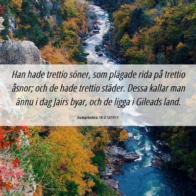 Picture 06 - Domarboken 10:4 SV1917 - Han hade trettio söner, som plägade rida på - Bible Verse Picture