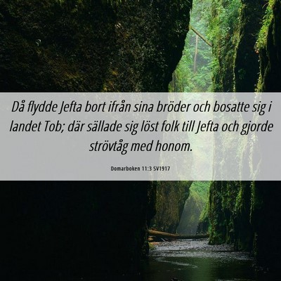 Picture 06 - Domarboken 11:3 SV1917 - Då flydde Jefta bort ifrån sina bröder och - Bible Verse Picture