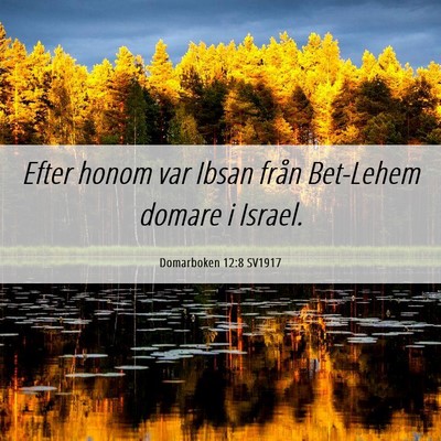Picture 06 - Domarboken 12:8 SV1917 - Efter honom var Ibsan från Bet-Lehem domare i - Bible Verse Picture