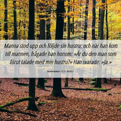 Picture 06 - Domarboken 13:11 SV1917 - Manoa stod upp och följde sin hustru; och när - Bible Verse Picture