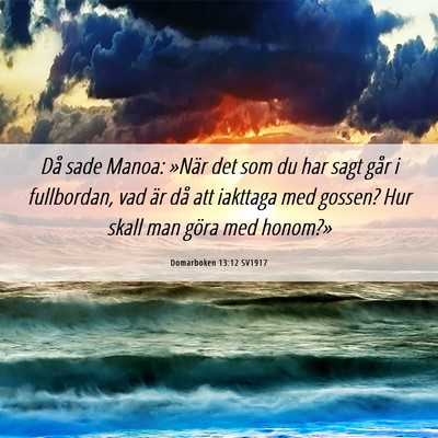 Picture 06 - Domarboken 13:12 SV1917 - Då sade Manoa: »När det som du har sagt går i - Bible Verse Picture