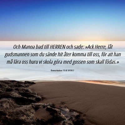 Picture 06 - Domarboken 13:8 SV1917 - Och Manoa bad till HERREN och sade: »Ack Herre, - Bible Verse Picture