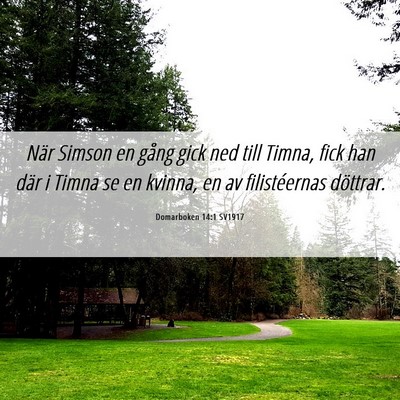 Picture 06 - Domarboken 14:1 SV1917 - När Simson en gång gick ned till Timna, fick - Bible Verse Picture