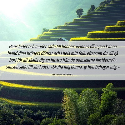 Picture 06 - Domarboken 14:3 SV1917 - Hans fader och moder sade till honom: »Finnes - Bible Verse Picture