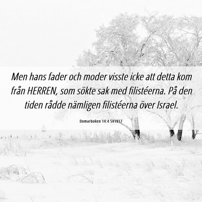 Picture 06 - Domarboken 14:4 SV1917 - Men hans fader och moder visste icke att detta - Bible Verse Picture