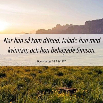 Picture 06 - Domarboken 14:7 SV1917 - När han så kom ditned, talade han med kvinnan; - Bible Verse Picture