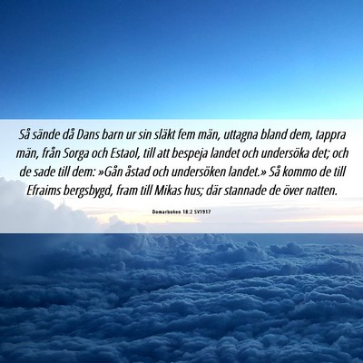 Picture 06 - Domarboken 18:2 SV1917 - Så sände då Dans barn ur sin släkt fem män, - Bible Verse Picture
