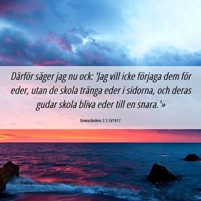 Picture 06 - Domarboken 2:3 SV1917 - Därför säger jag nu ock: 'Jag vill icke - Bible Verse Picture