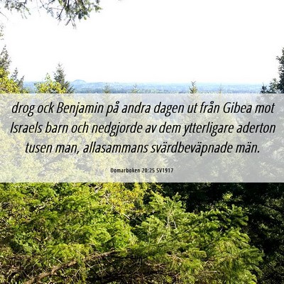 Picture 06 - Domarboken 20:25 SV1917 - drog ock Benjamin på andra dagen ut från Gibea - Bible Verse Picture