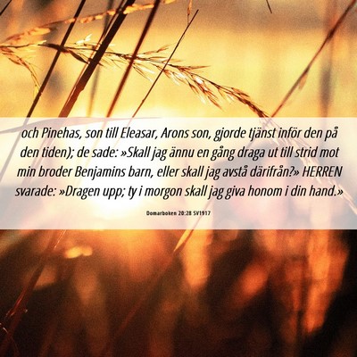 Picture 06 - Domarboken 20:28 SV1917 - och Pinehas, son till Eleasar, Arons son, gjorde - Bible Verse Picture