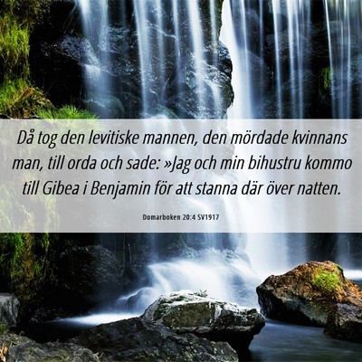 Picture 06 - Domarboken 20:4 SV1917 - Då tog den levitiske mannen, den mördade - Bible Verse Picture