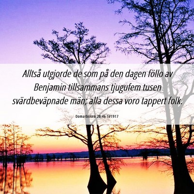 Picture 06 - Domarboken 20:46 SV1917 - Alltså utgjorde de som på den dagen föllo av - Bible Verse Picture