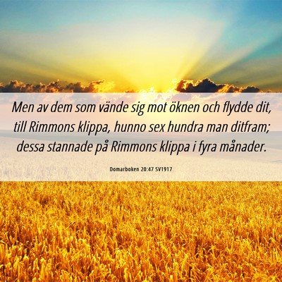 Picture 06 - Domarboken 20:47 SV1917 - Men av dem som vände sig mot öknen och flydde - Bible Verse Picture