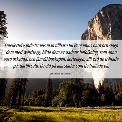 Picture 06 - Domarboken 20:48 SV1917 - Emellertid vände Israels män tillbaka till - Bible Verse Picture