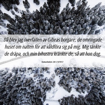 Picture 06 - Domarboken 20:5 SV1917 - Då blev jag överfallen av Gibeas borgare; de - Bible Verse Picture