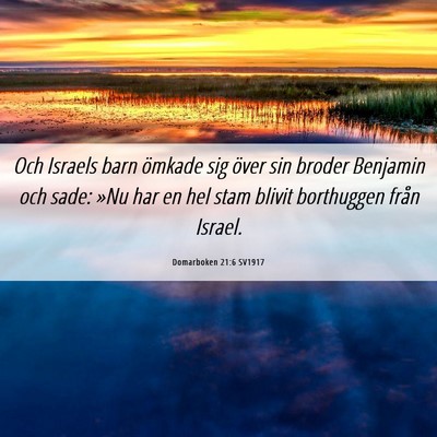 Picture 06 - Domarboken 21:6 SV1917 - Och Israels barn ömkade sig över sin broder - Bible Verse Picture