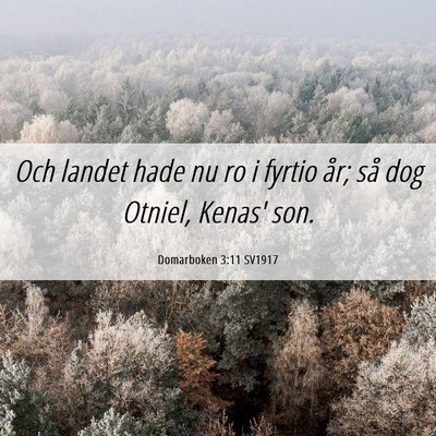 Picture 06 - Domarboken 3:11 SV1917 - Och landet hade nu ro i fyrtio år; så dog - Bible Verse Picture