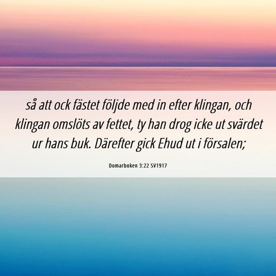 Picture 06 - Domarboken 3:22 SV1917 - så att ock fästet följde med in efter klingan, - Bible Verse Picture