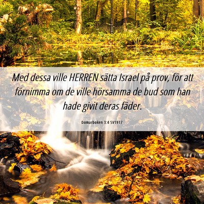 Picture 06 - Domarboken 3:4 SV1917 - Med dessa ville HERREN sätta Israel på prov, - Bible Verse Picture