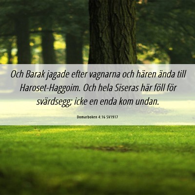 Picture 06 - Domarboken 4:16 SV1917 - Och Barak jagade efter vagnarna och hären ända - Bible Verse Picture