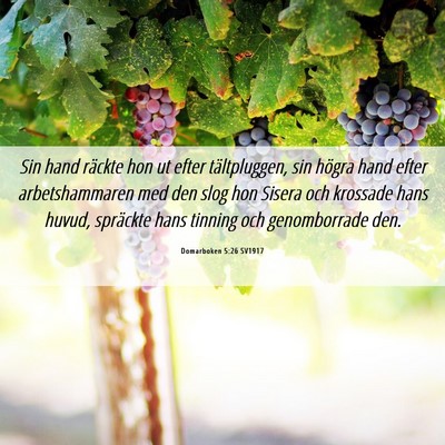 Picture 06 - Domarboken 5:26 SV1917 - Sin hand räckte hon ut efter tältpluggen, sin - Bible Verse Picture