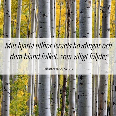 Picture 06 - Domarboken 5:9 SV1917 - Mitt hjärta tillhör Israels hövdingar och dem - Bible Verse Picture