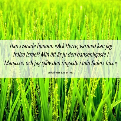 Picture 06 - Domarboken 6:15 SV1917 - Han svarade honom: »Ack Herre, varmed kan jag - Bible Verse Picture