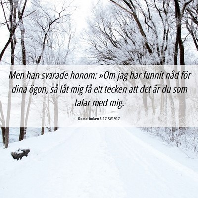 Picture 06 - Domarboken 6:17 SV1917 - Men han svarade honom: »Om jag har funnit nåd - Bible Verse Picture