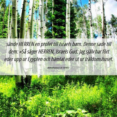 Picture 06 - Domarboken 6:8 SV1917 - sände HERREN en profet till Israels barn. Denne - Bible Verse Picture