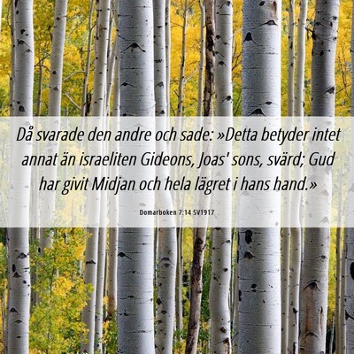 Picture 06 - Domarboken 7:14 SV1917 - Då svarade den andre och sade: »Detta betyder - Bible Verse Picture