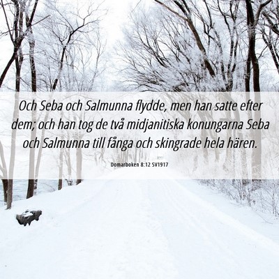 Picture 06 - Domarboken 8:12 SV1917 - Och Seba och Salmunna flydde, men han satte efter - Bible Verse Picture