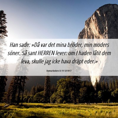 Picture 06 - Domarboken 8:19 SV1917 - Han sade: »Då var det mina bröder, min moders - Bible Verse Picture