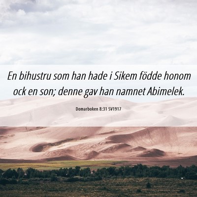 Picture 06 - Domarboken 8:31 SV1917 - En bihustru som han hade i Sikem födde honom ock - Bible Verse Picture