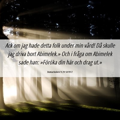 Picture 06 - Domarboken 9:29 SV1917 - Ack om jag hade detta folk under min vård! Då - Bible Verse Picture