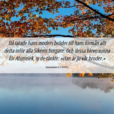 Picture 06 - Domarboken 9:3 SV1917 - Då talade hans moders bröder till hans förmån - Bible Verse Picture