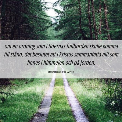 Picture 06 - Efesierbrevet 1:10 SV1917 - om en ordning som i tidernas fullbordan skulle - Bible Verse Picture