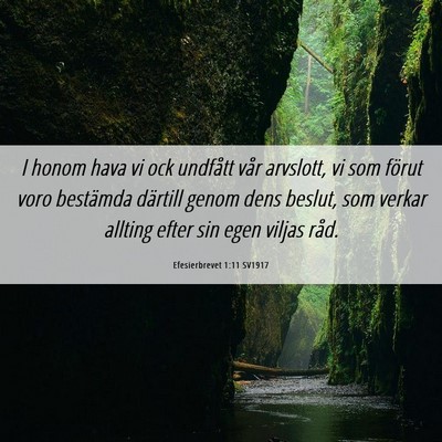 Picture 06 - Efesierbrevet 1:11 SV1917 - I honom hava vi ock undfått vår arvslott, vi - Bible Verse Picture