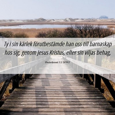 Picture 06 - Efesierbrevet 1:5 SV1917 - Ty i sin kärlek förutbestämde han oss till - Bible Verse Picture
