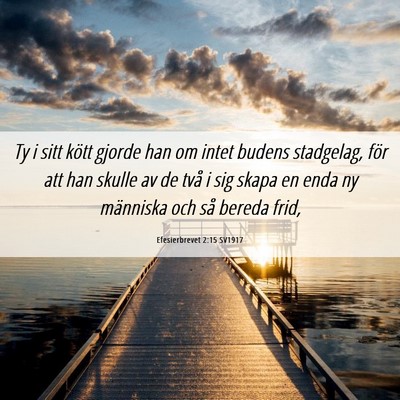 Picture 06 - Efesierbrevet 2:15 SV1917 - Ty i sitt kött gjorde han om intet budens - Bible Verse Picture