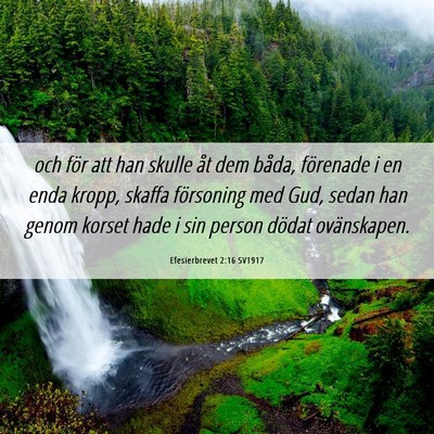 Picture 06 - Efesierbrevet 2:16 SV1917 - och för att han skulle åt dem båda, förenade - Bible Verse Picture