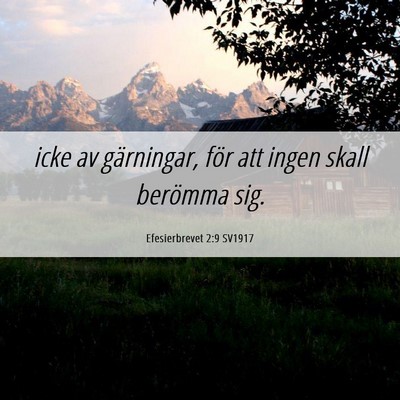 Picture 06 - Efesierbrevet 2:9 SV1917 - icke av gärningar, för att ingen skall berömma - Bible Verse Picture