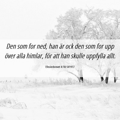 Picture 06 - Efesierbrevet 4:10 SV1917 - Den som for ned, han är ock den som for upp - Bible Verse Picture
