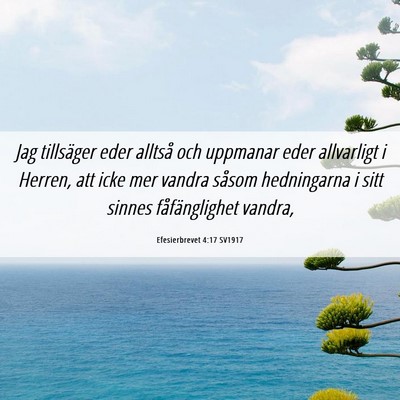 Picture 06 - Efesierbrevet 4:17 SV1917 - Jag tillsäger eder alltså och uppmanar eder - Bible Verse Picture