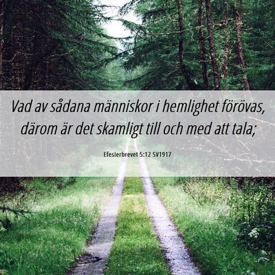 Picture 06 - Efesierbrevet 5:12 SV1917 - Vad av sådana människor i hemlighet förövas, - Bible Verse Picture