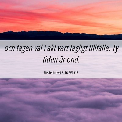 Picture 06 - Efesierbrevet 5:16 SV1917 - och tagen väl i akt vart lägligt tillfälle. Ty - Bible Verse Picture